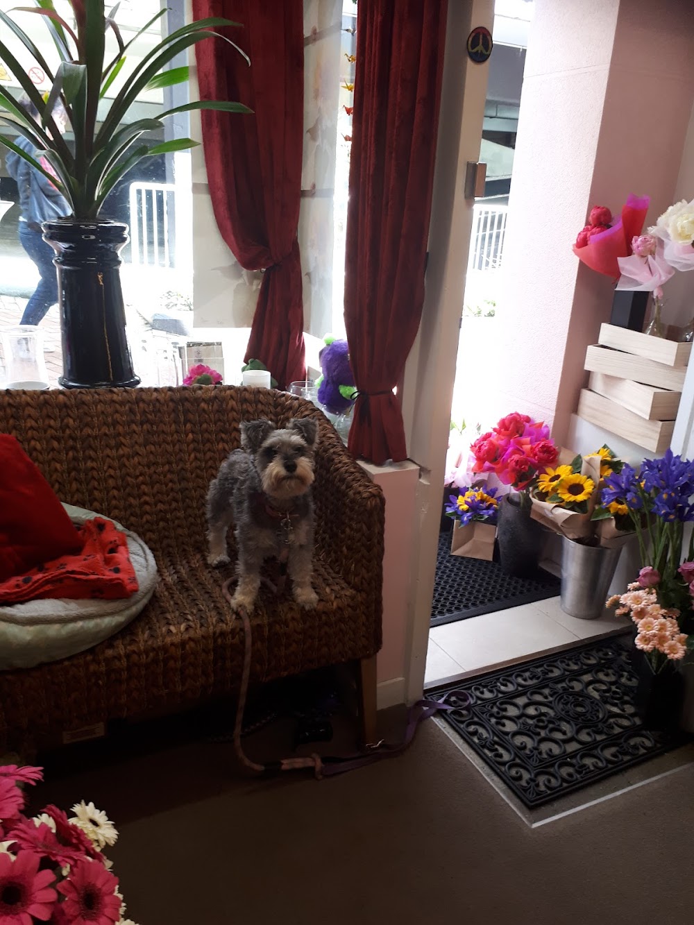 Vikki’s flowers Online shop